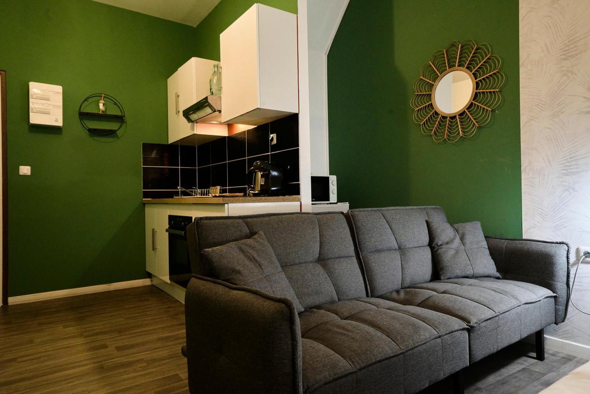 Appartement Ng Suitehome Balnéo 121grand Rue *